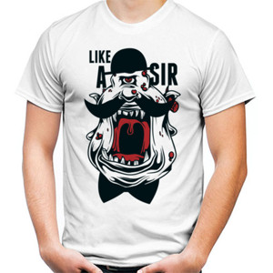 Kaos Like a Sir