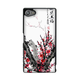 Chinese Painting Casing HP
