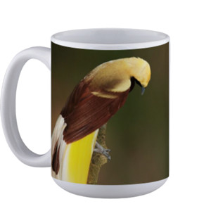 Mug Lesser Bird of Paradise