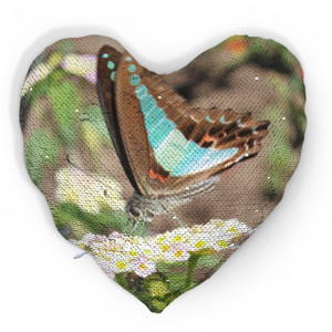 Bantal Ajaib Blue-Brown Butterfly