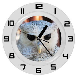 Jam Dinding White Owl