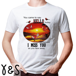 Kaos you came to say hello