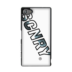 SCNRY CAMBLUE Casing HP