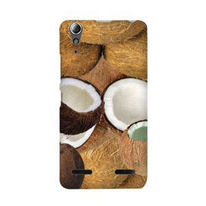 Coconut Casing HP