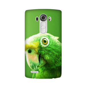 Green Parrot Casing HP