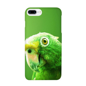 Green Parrot Casing HP