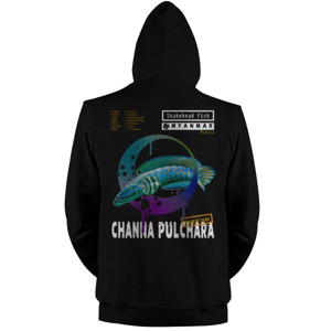 Jaket Hoodie Channa pulchara, Ikan Gabus 