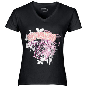 Kaos Spring