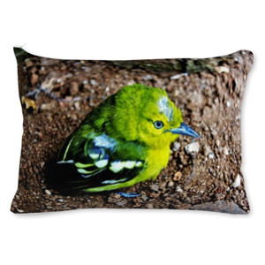 Bantal Anak Burung