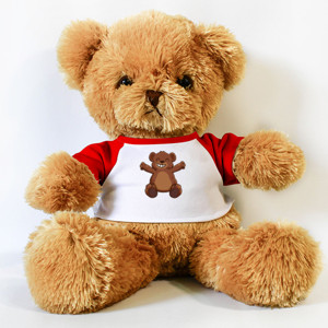 Boneka Beruang a cute brown bear