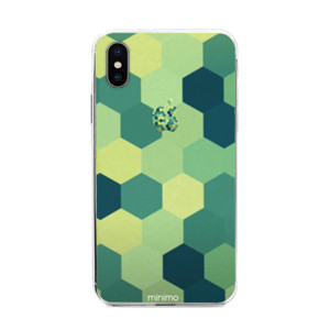  Turtle Minimo Casing HP