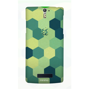  Turtle Minimo Casing HP