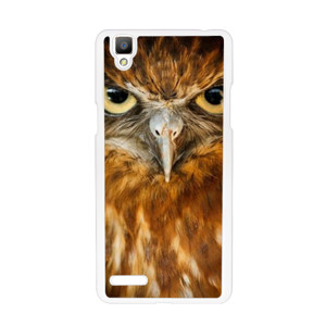 Owl Casing HP