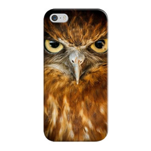 Owl Casing HP