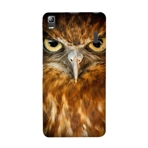 Owl Casing HP