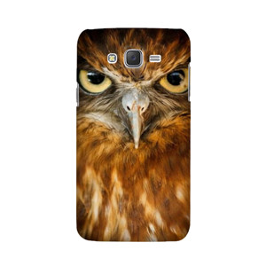 Owl Casing HP