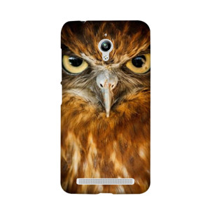 Owl Casing HP