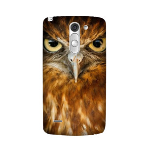 Owl Casing HP