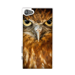 Owl Casing HP