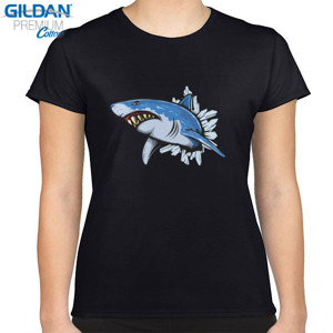 Kaos Ice Shark