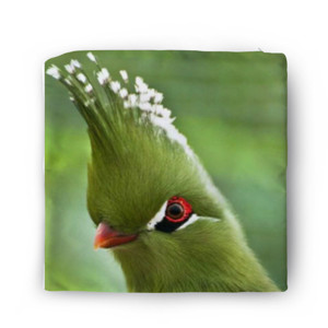 Sarung Bantal Bird