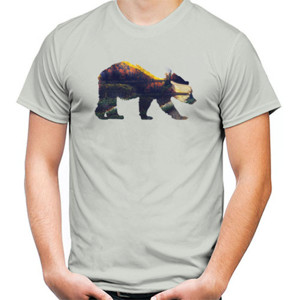 Kaos Landscape Bear