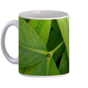 Mug Tanaman Daun Hijau