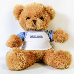 Boneka Beruang Bear Biru