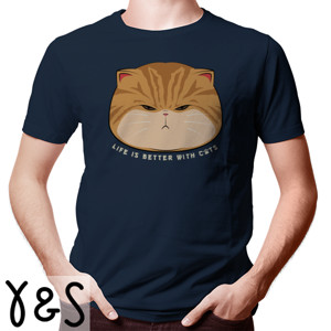 Kaos Life is better with cats