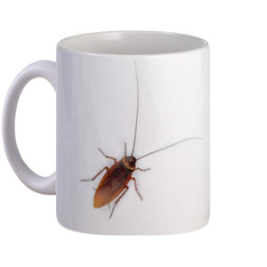 Mug Kecoa