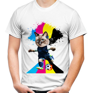 Kaos Gol Cat