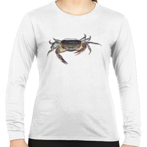 Kaos Kaos Y&S Yuyu Parathelphusa 