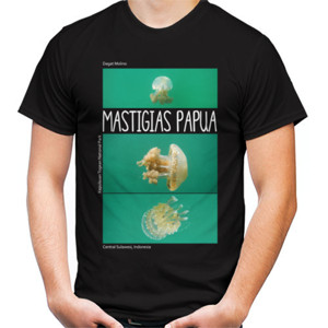 Kaos TIGA MASTIGIAS