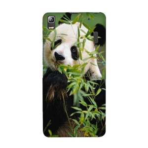 Hewan 3 Casing HP