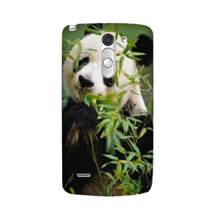 Hewan 3 Casing HP