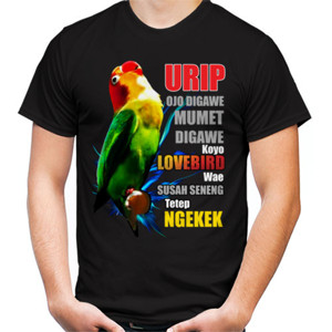 Kaos Lovebird