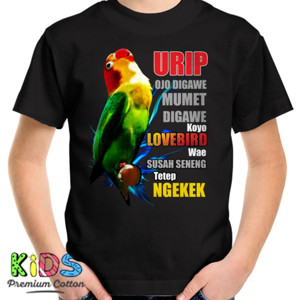 Kaos Lovebird