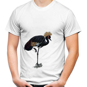 Kaos Bird Artworks 9