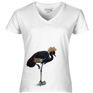 Kaos Bird Artworks 9
