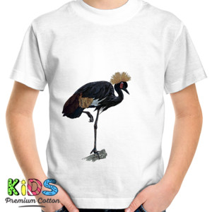 Kaos Bird Artworks 9