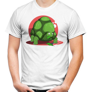 Kaos TURTLE