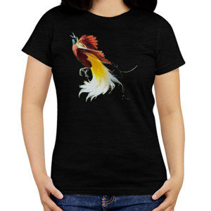 Kaos burung cantik