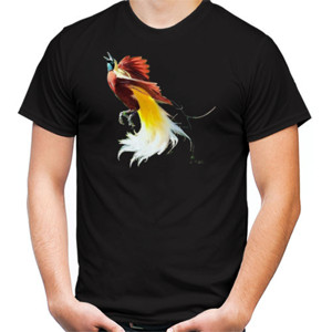 Kaos burung cantik