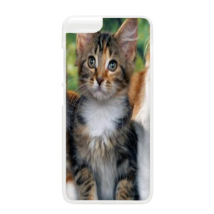 PUSSY CAT#2 Casing HP