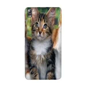 PUSSY CAT#2 Casing HP