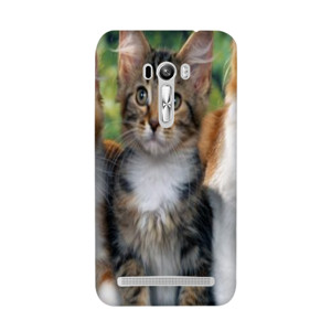 PUSSY CAT#2 Casing HP