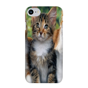 PUSSY CAT#2 Casing HP