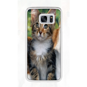 PUSSY CAT#2 Casing HP