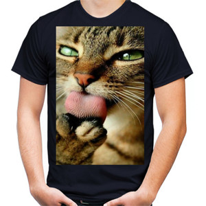 Kaos Kucing Liar
