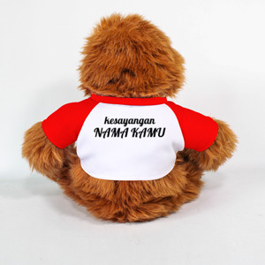 Boneka Orang Utan HUG ME ORANG UTAN